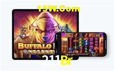 Recursos de Bônus 211Br