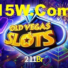 Programa VIP 211Br